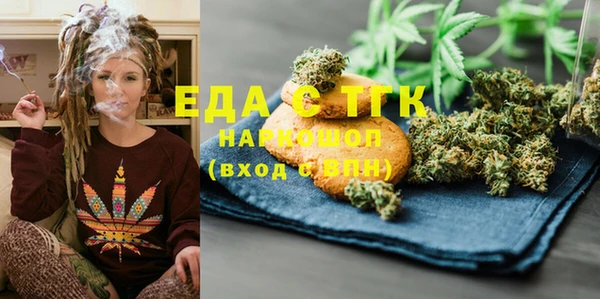 индика Зеленодольск