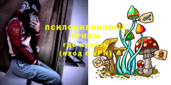 apvp Балахна