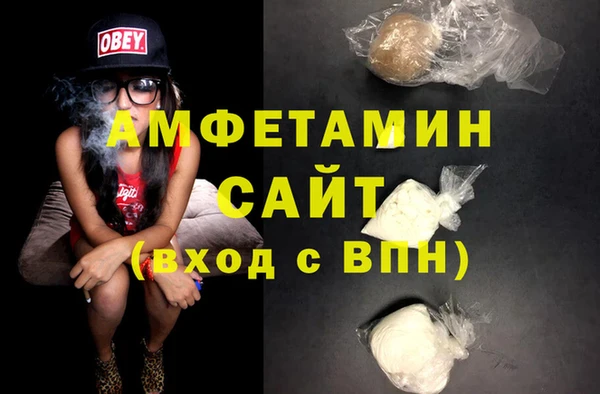 индика Зеленодольск